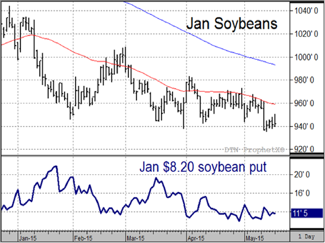 Given the bearish risk in soybeans this year and lack of good marketing alternatives, an out-of-the-money put option like the Jan. $8.20 put shown here may be one way to supplement the protective benefits of crop insurance. 